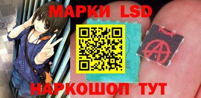 стаф Донской