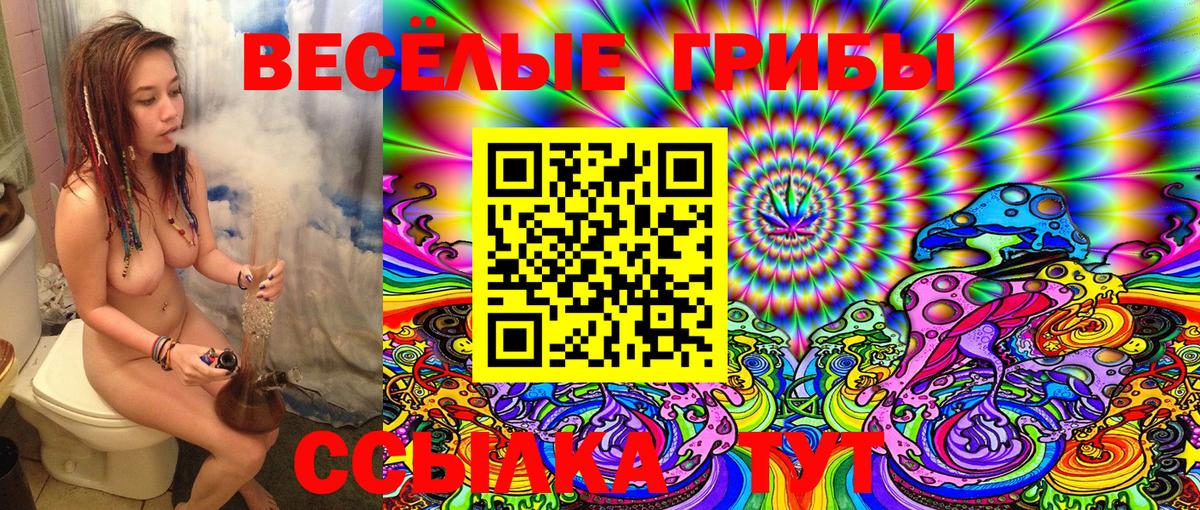где найти   Псилоцибиновые грибы Psilocybe  Псилоцибиновые грибы прущие грибы  Вход с VPN  Курчатов 